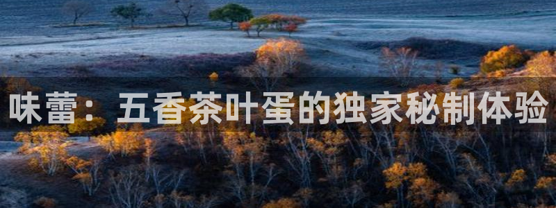 年会金句心得