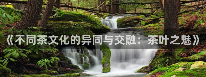 金年会官方网站下载
