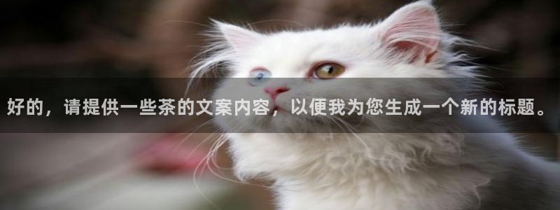金年会101