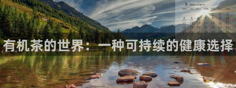 为什么搜索不了金年会