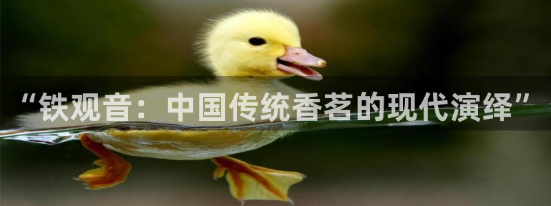 金年会电子游戏app