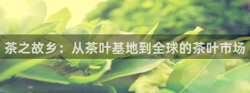 金年会现金网