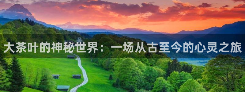 金年会6766