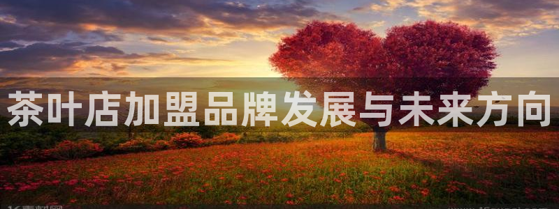 金年会体育app下载