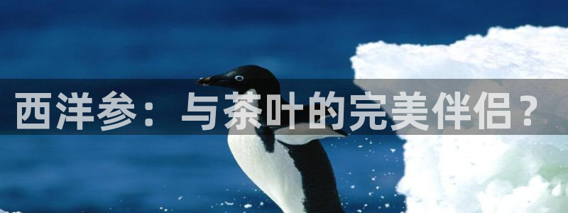 金年会体育娱乐