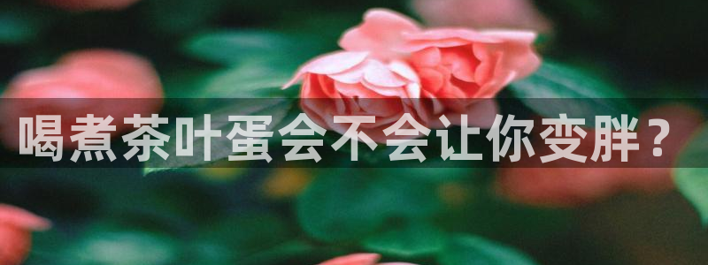 金年会活动策划