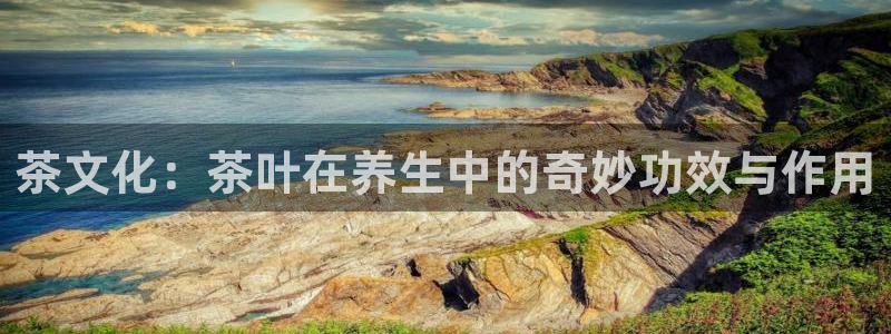 金年会下载官方