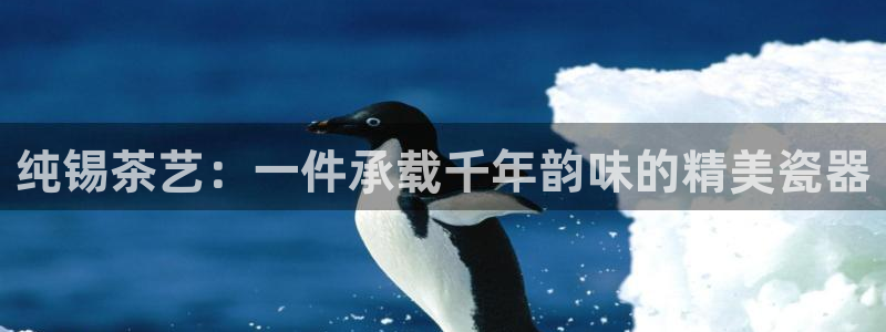为什么搜索不了金年会