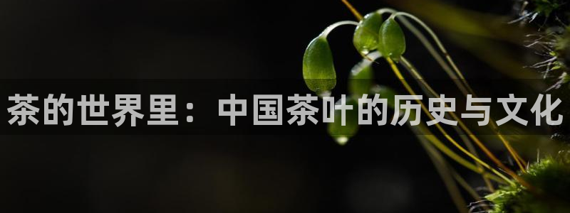 金年会娱乐和马竞