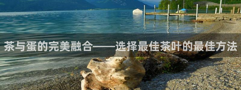 金年会.cc