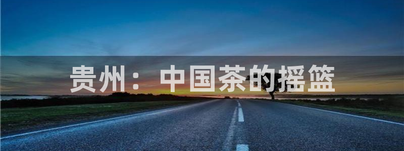 金联金年会