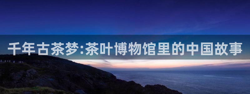 金年会体育平台官网