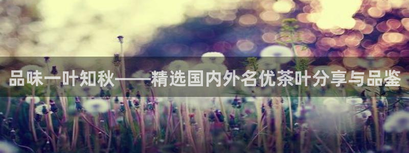 金年会投注官网