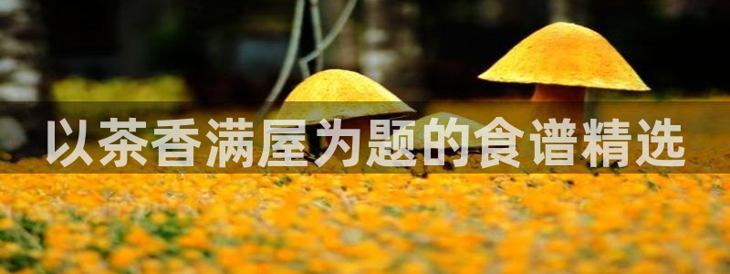 金年会体育官方网站