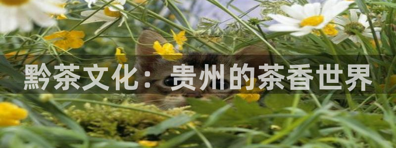 金年会电子游戏