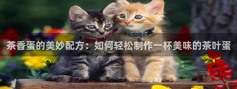 金年会能提款吗