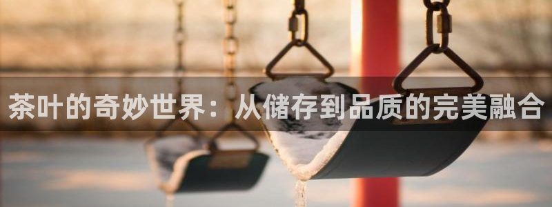金年会官网