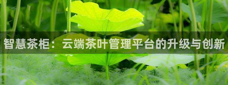 金年会手机登录