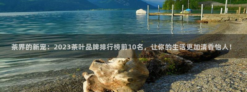 金年会体育app下载