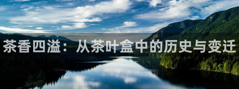 金年会平台游戏