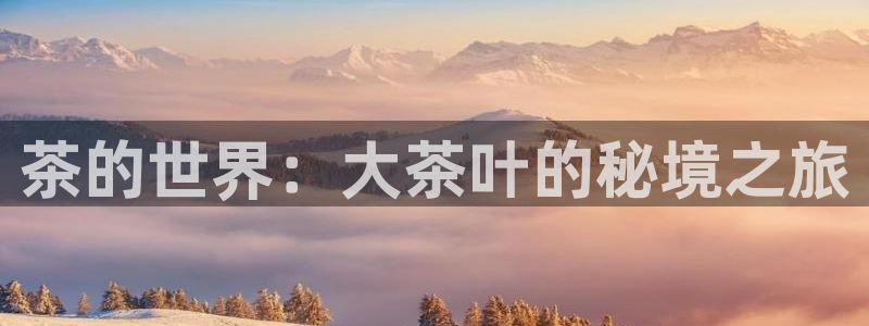 金年会入口网站