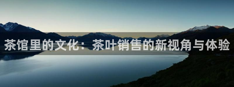 金辉城年会视频