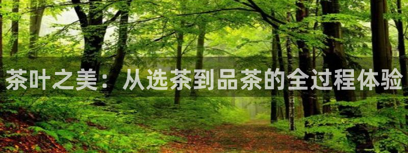 金年会手机登录