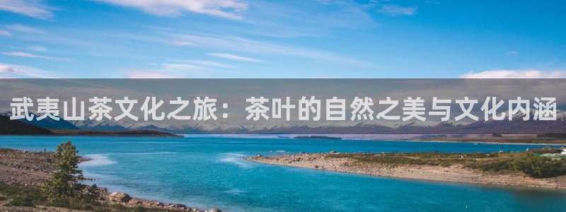 金年会最新官网